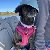 Entry image for Winter