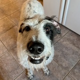 Entry image for Kramer