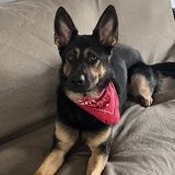 Entry image for Augustine “Auggie”