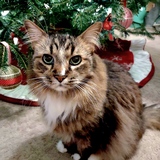 Entry image for Miles