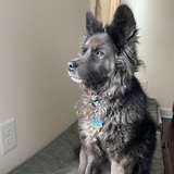 Entry image for Tucker