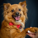 Entry image for Jackpot 