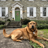 Entry image for Jacob