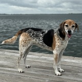 Entry image for Emma Valentine