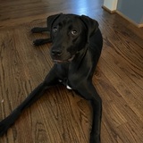 Entry image for Delilah Brown