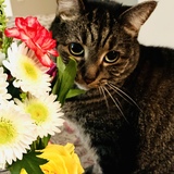 Entry image for Martha