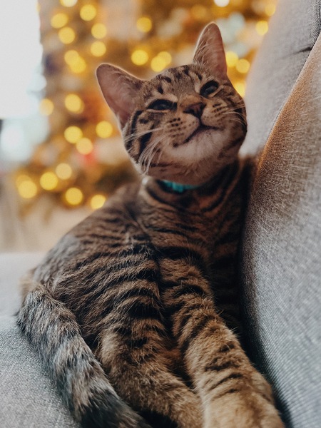 Entry image for David. Clicking this image will show a larger photo