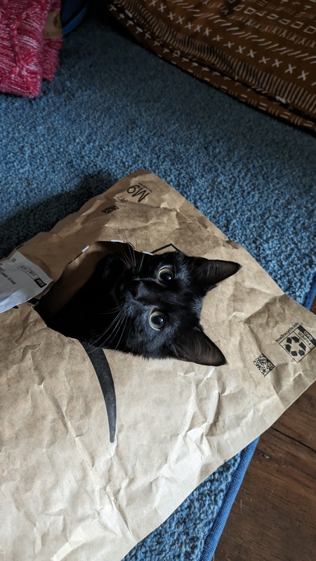 Entry image for Faust. Clicking this image will show a larger photo