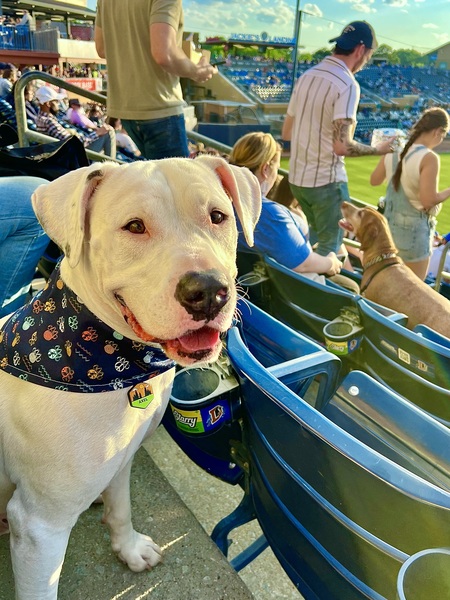 Entry image for Axel. Clicking this image will show a larger photo