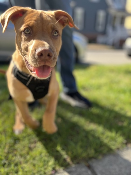 Entry image for Theodore Carl Bearington. Clicking this image will show a larger photo