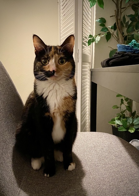 Entry image for Aoife. Clicking this image will show a larger photo