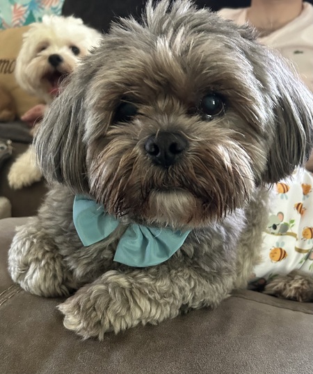 Entry image for Luigi. Clicking this image will show a larger photo