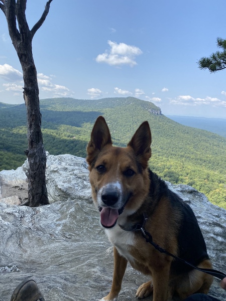 Entry image for Duncan. Clicking this image will show a larger photo