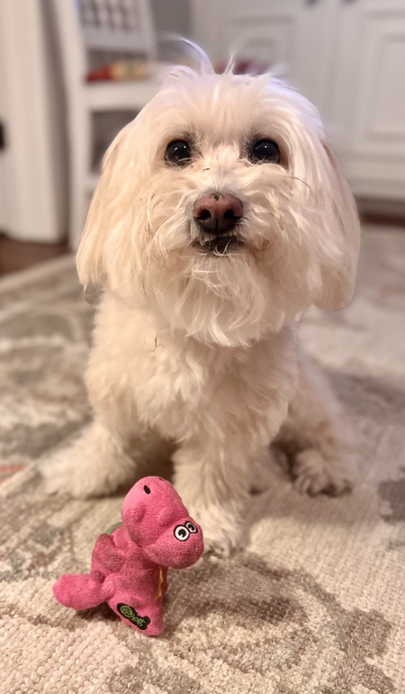 Entry image for B. Clicking this image will show a larger photo