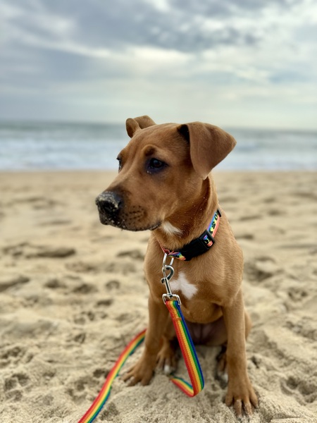 Entry image for Kai. Clicking this image will show a larger photo