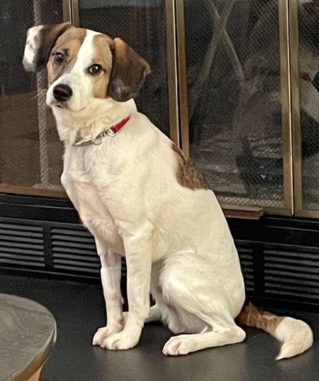 Entry image for Gus Gustofferson . Clicking this image will show a larger photo