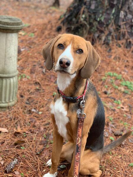 Entry image for Perkins. Clicking this image will show a larger photo