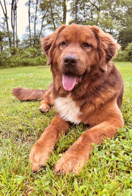 Entry image for Maverick . Clicking this image will show a larger photo