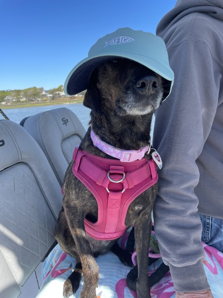 Entry image for Winter. Clicking this image will show a larger photo