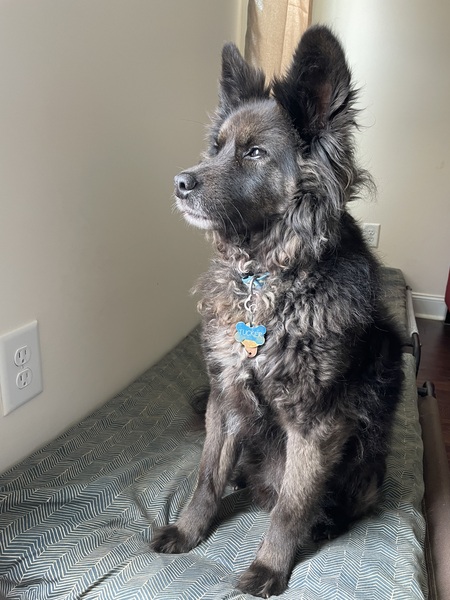 Entry image for Tucker. Clicking this image will show a larger photo