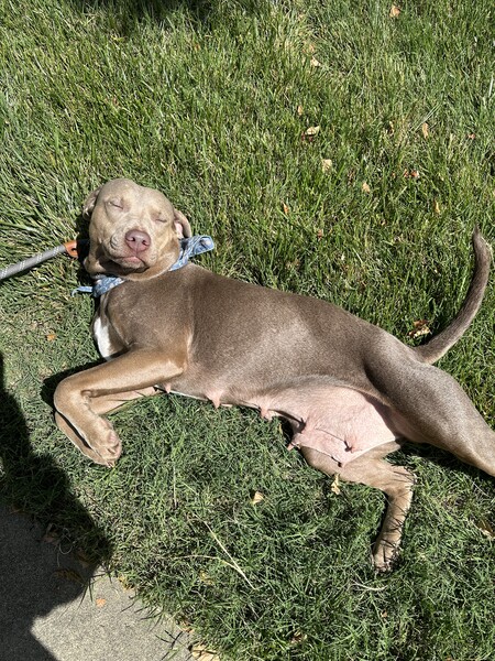 Entry image for Jessie. Clicking this image will show a larger photo