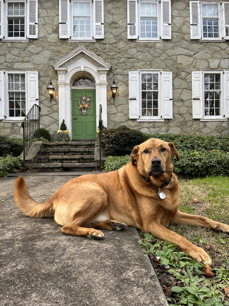 Entry image for Jacob. Clicking this image will show a larger photo