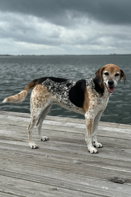 Entry image for Emma Valentine. Clicking this image will show a larger photo