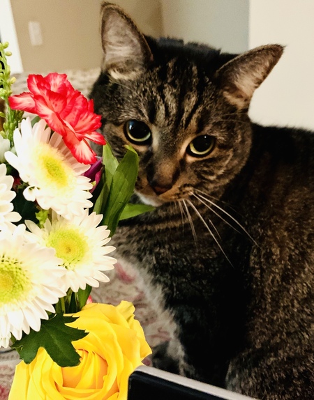 Entry image for Martha. Clicking this image will show a larger photo