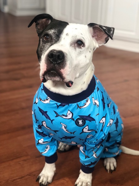 Sherman 