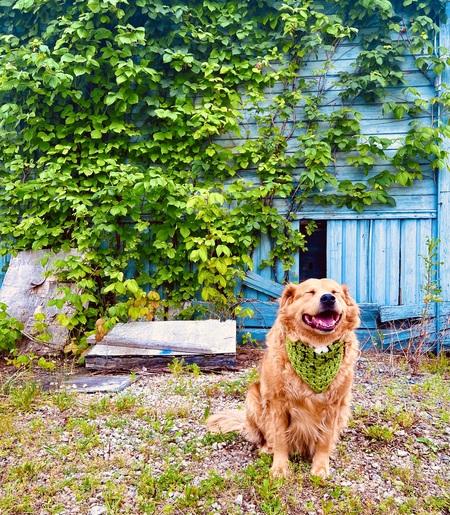Copper