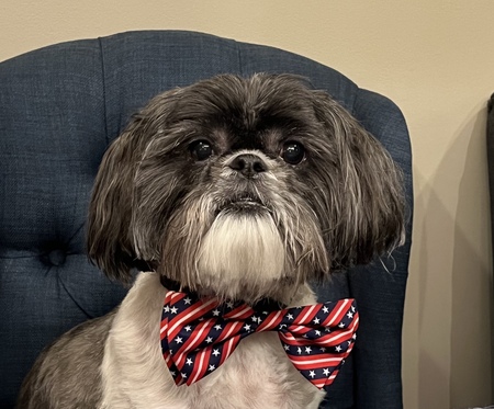 Benji 