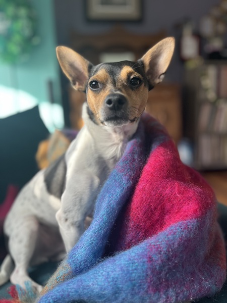 Mac