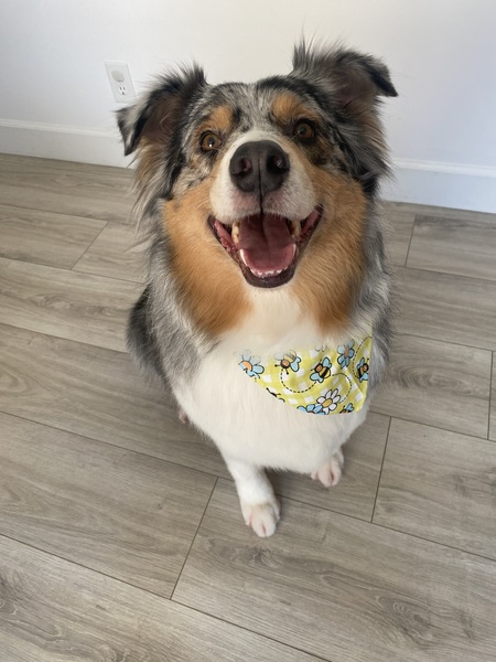 Einstein