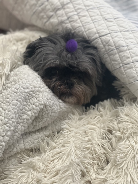 Janet 