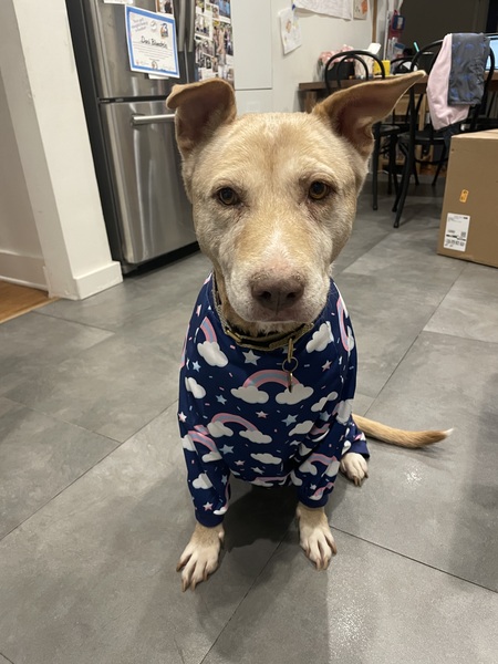 Ellie (Eloise for French dinner parties)