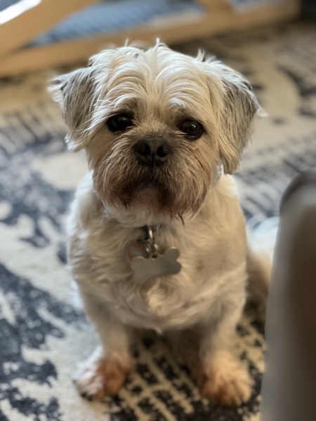 Gus