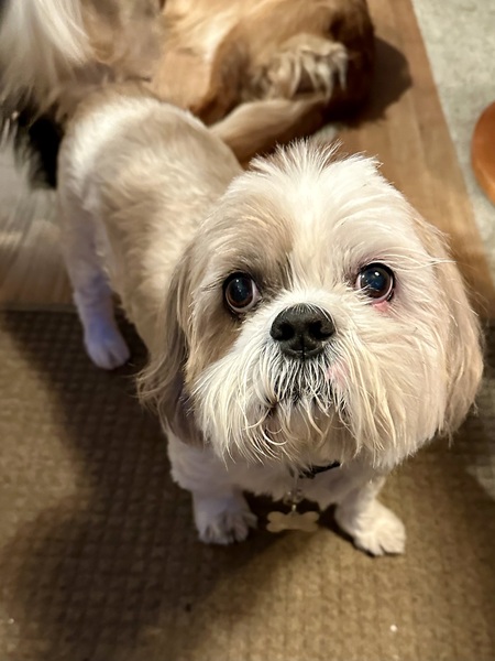Laszlo