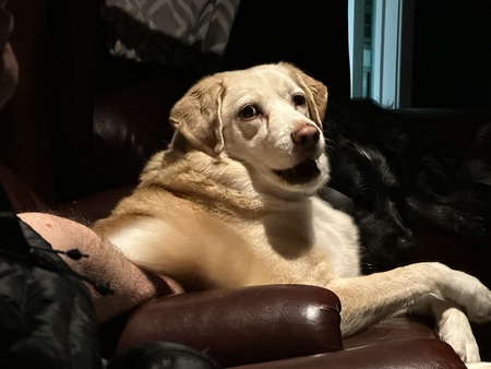 Maggie