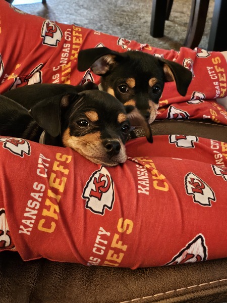 Buster and Nova