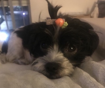 Tiabelly Noëlle