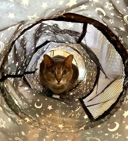Penny Lane
