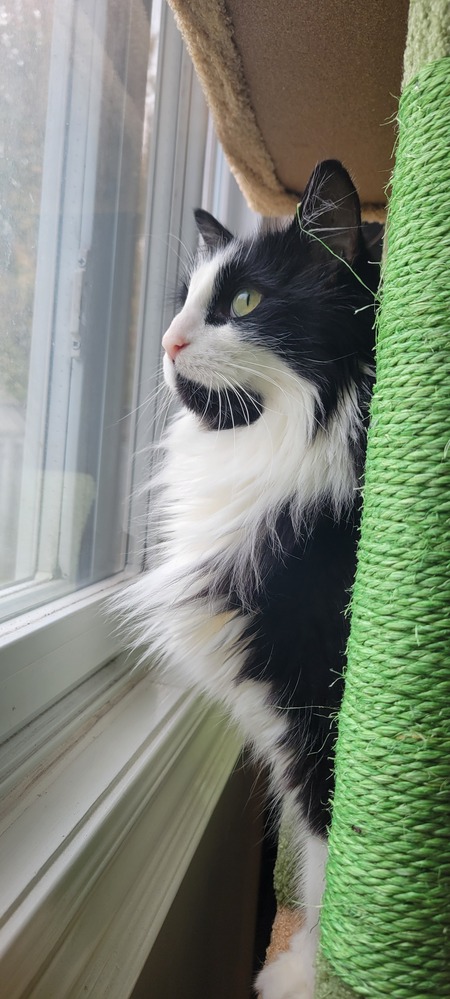Oskar 