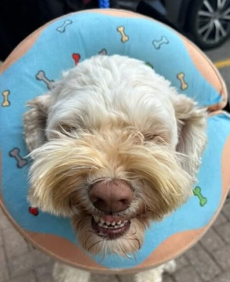 Archie Bonkers