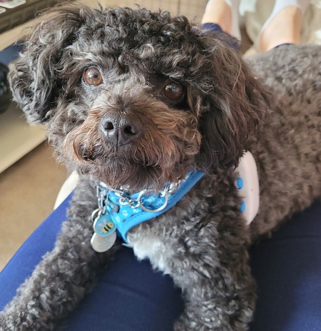 Finnegan 