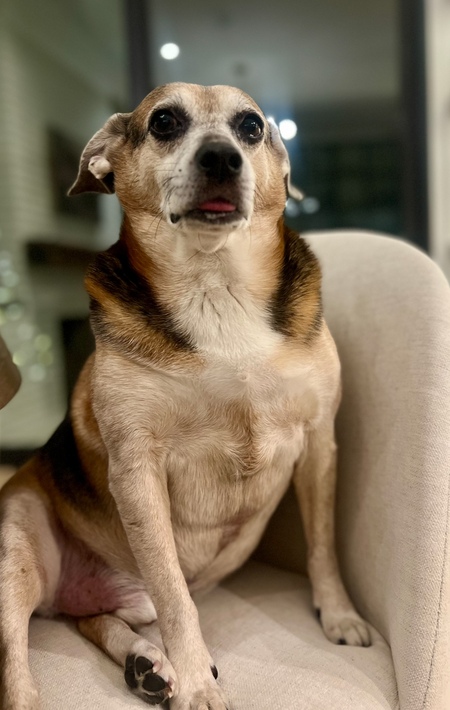 Jack
