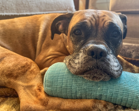 Rosie