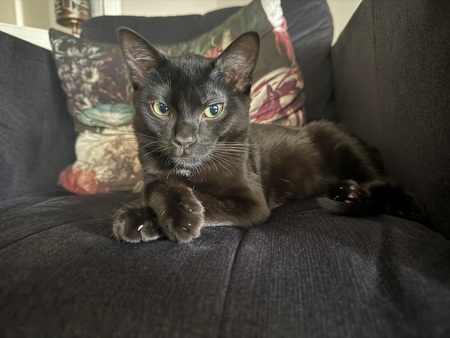 Leonard 