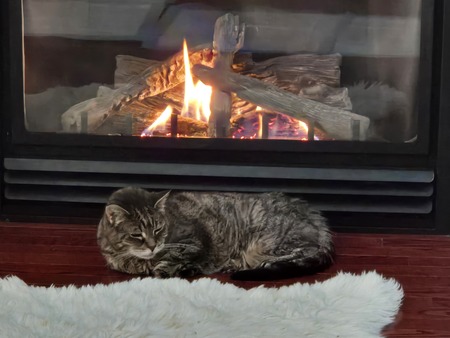 Ralphie