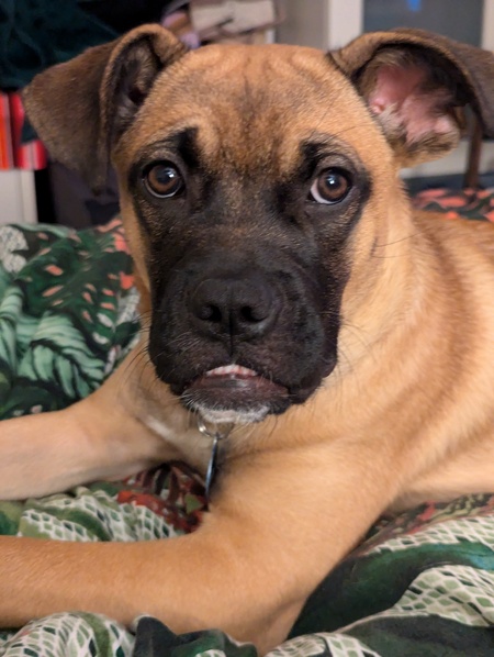 Margie