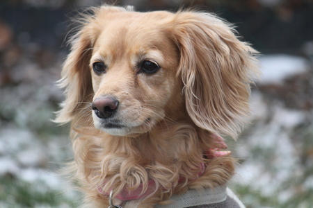Sophie